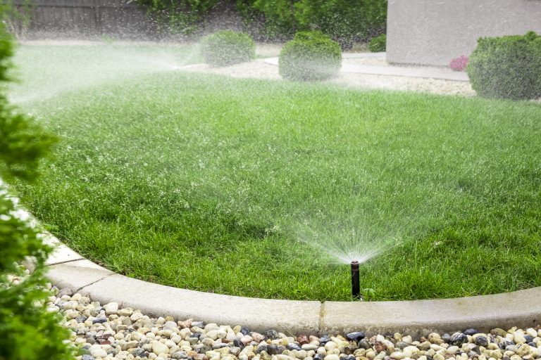 Smart Irrigation Systems in the UAE: How They Save Water and Money 