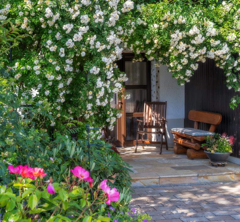 How to Choose the Right Maintenance Plan for Your Garden or Landscape in Abu Dhabi & Dubai
