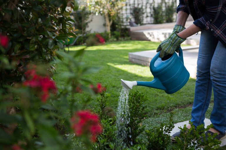 Creating Water-Efficient Landscapes